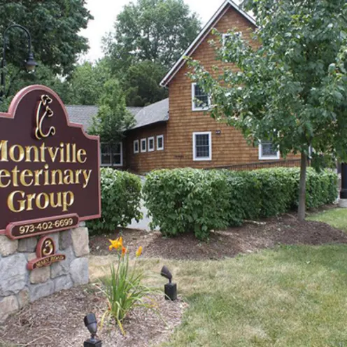 Montville Veterinary Group Exterior